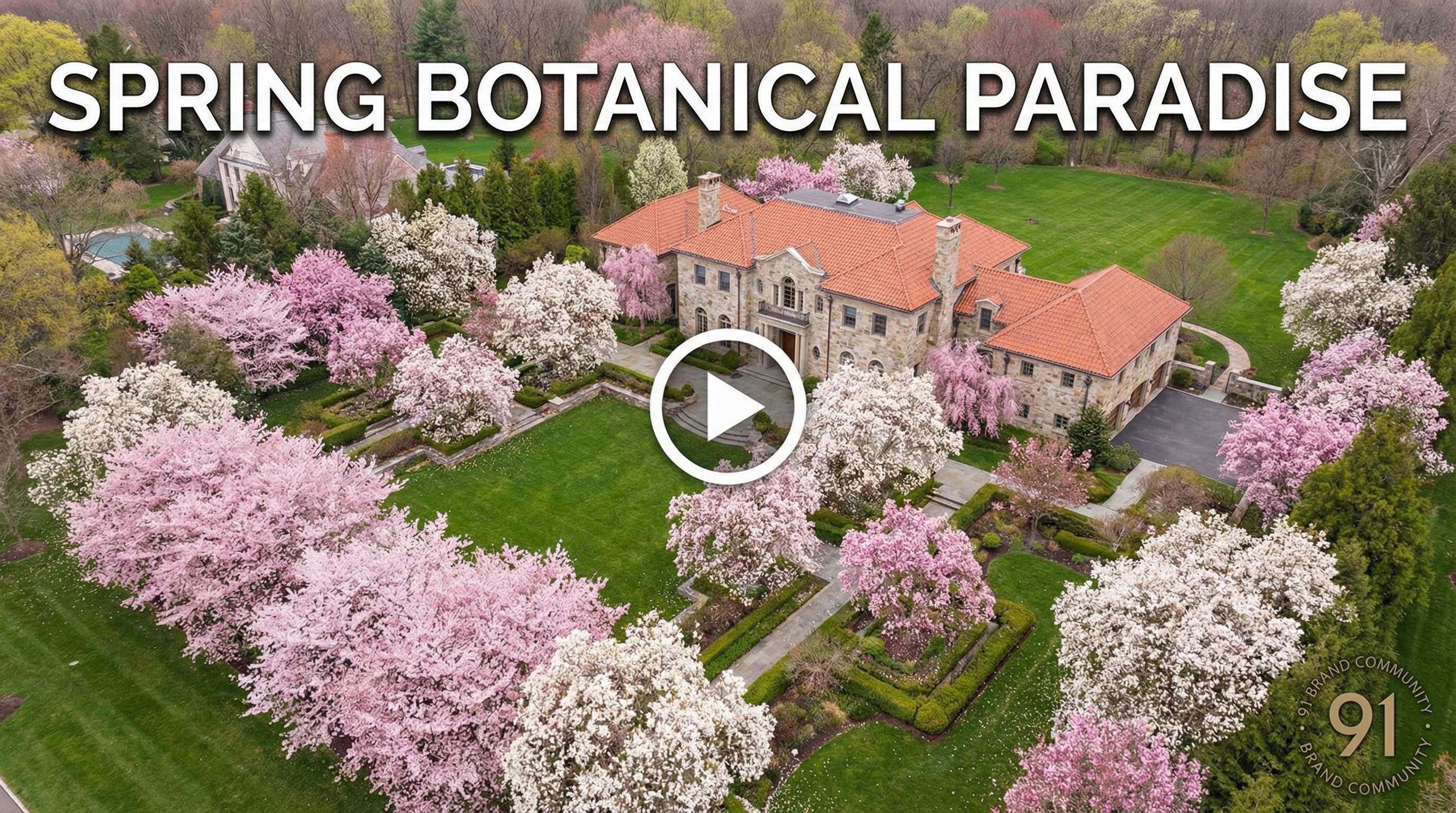 大象传媒植物视频